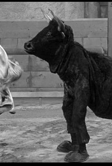 Primary photo for Sappy Bull Fighters Primary photo for Sappy Bull Fighters