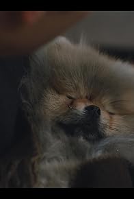 Primary photo for Someday, Because of You