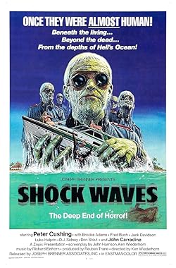 Poster of Shock Waves