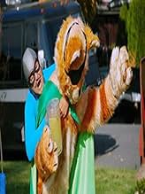 पोस्टर देखें