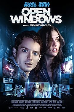 Poster of Open Windows