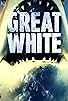 Primary photo for Great White: Reign of Terror