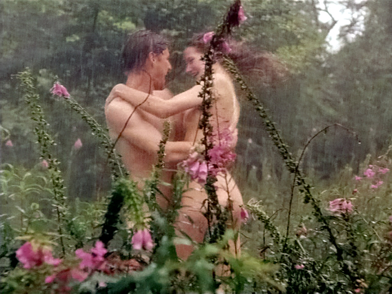 チャタレイ夫人の恋人(1993)