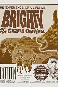 Primary photo for Brighty of the Grand Canyon Primary photo for Brighty of the Grand Canyon