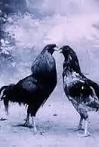 Primary photo for Animali criminali