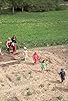 Primary photo for Outdoor Games