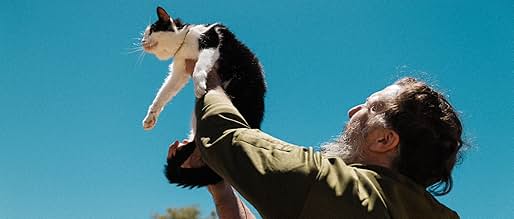 पोस्टर देखें