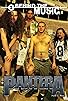 Primary photo for Pantera Primary photo for Pantera