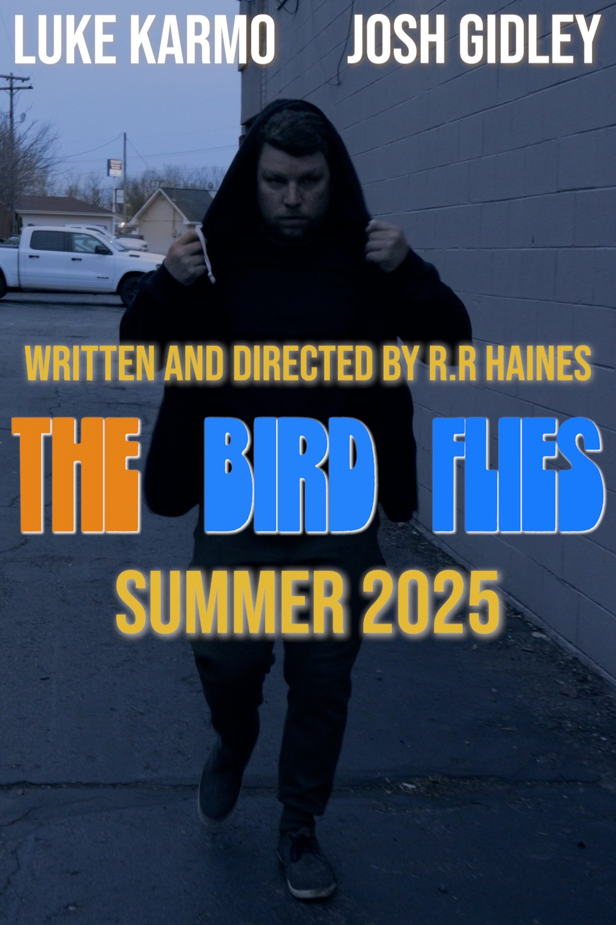 The Bird Flies
