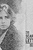 Primary photo for The Scarlet Letter Reports Primary photo for The Scarlet Letter Reports