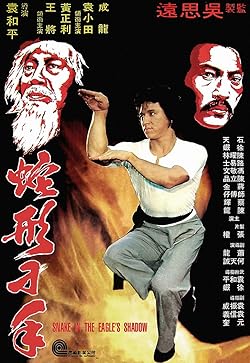 Poster of Snake In The Eagles Shadow