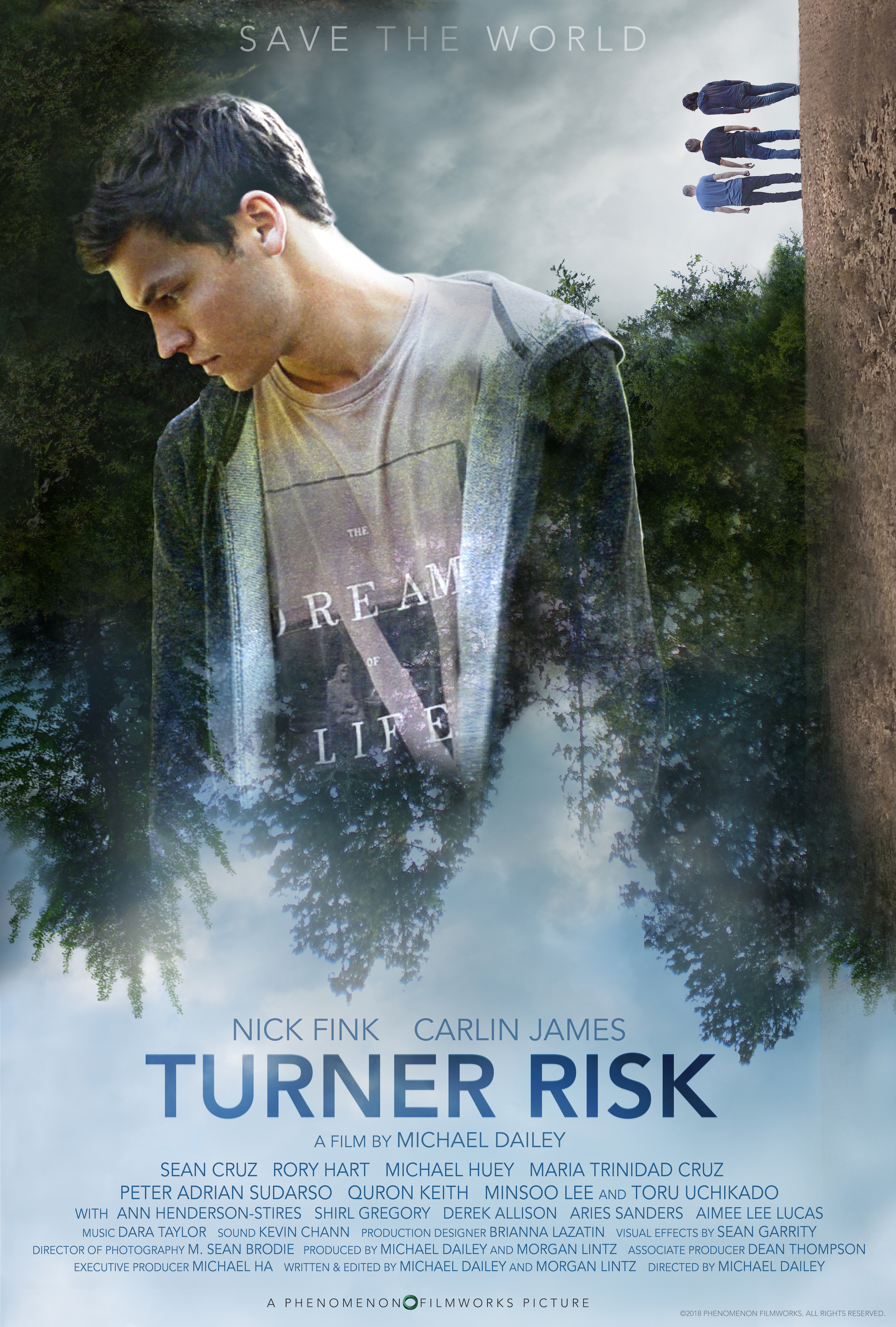 Poster of Turner Risk