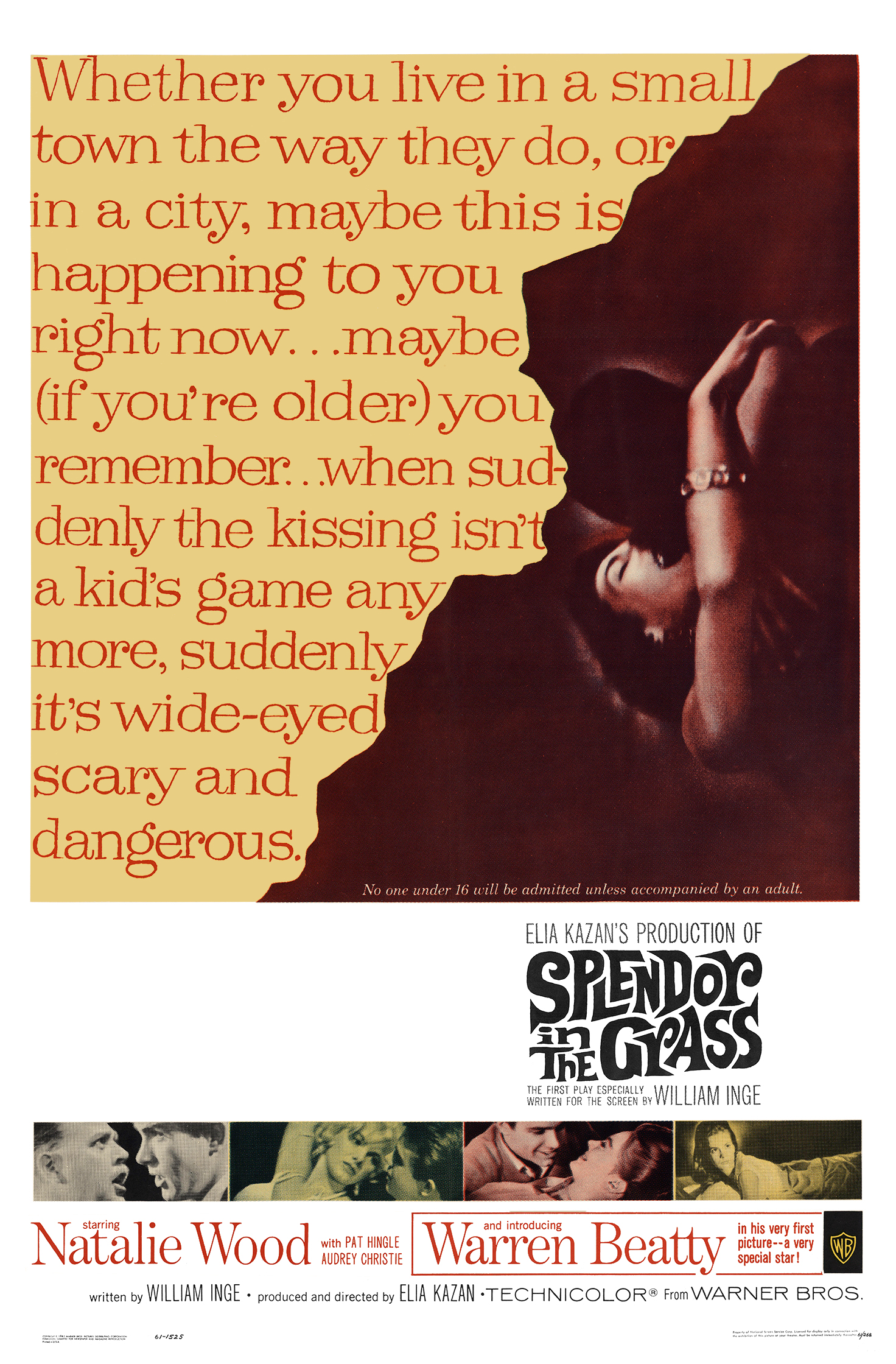 Poster of Splendor in the Grass
