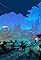 Moon Bound: The Series's primary photo