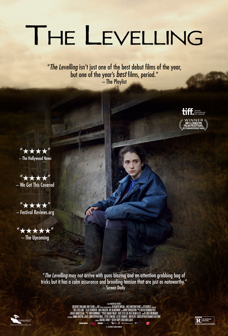 Poster of The Levelling