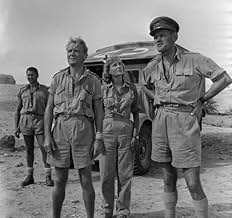 पोस्टर देखें