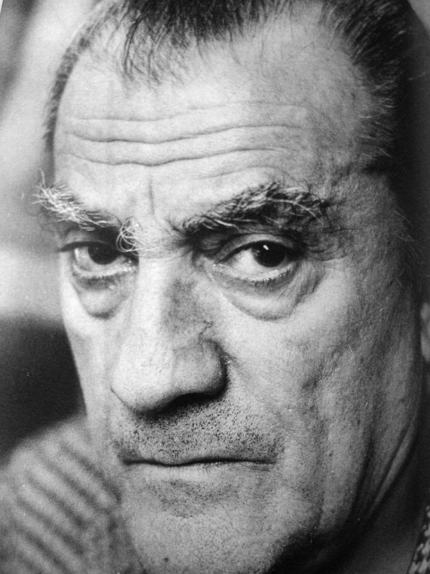 その他 Luchino Visconti: Portrait [DVD] Luchino Visconti