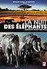 Primary photo for La nuit des éléphants