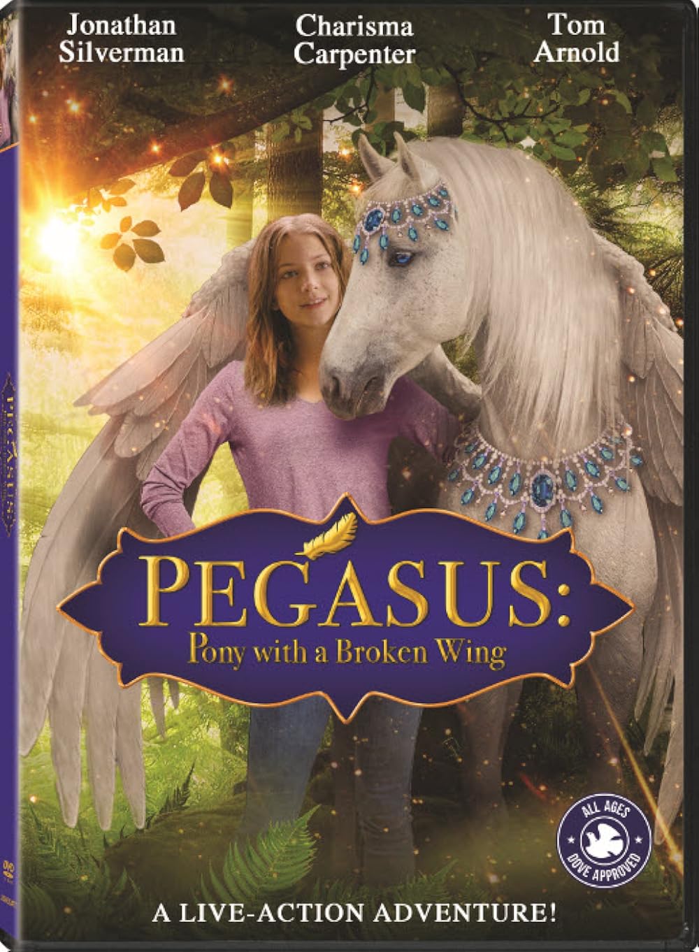 Pegasus  Pony With a Broken Wing