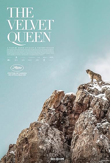 The Velvet Queen 2021