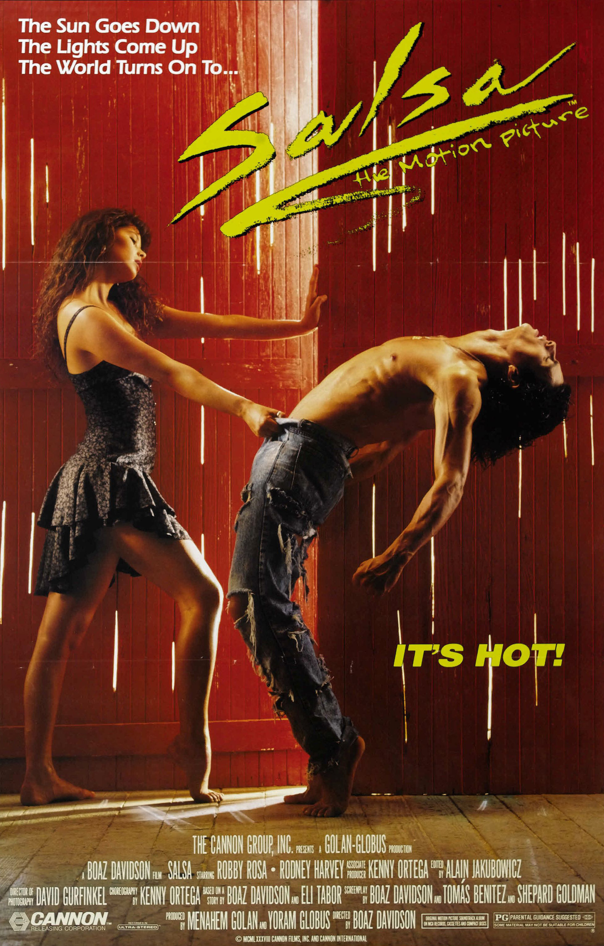 Poster of Salsa