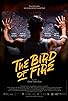 Primary photo for The Bird of Fire Primary photo for The Bird of Fire