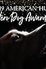 Primary photo for American Humane Hero Dog Awards Primary photo for American Humane Hero Dog Awards