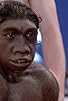 Primary photo for Homo Erectus Primary photo for Homo Erectus