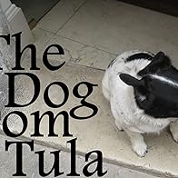 Primary photo for The Dog from Tula