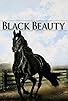 Primary photo for Black Beauty
