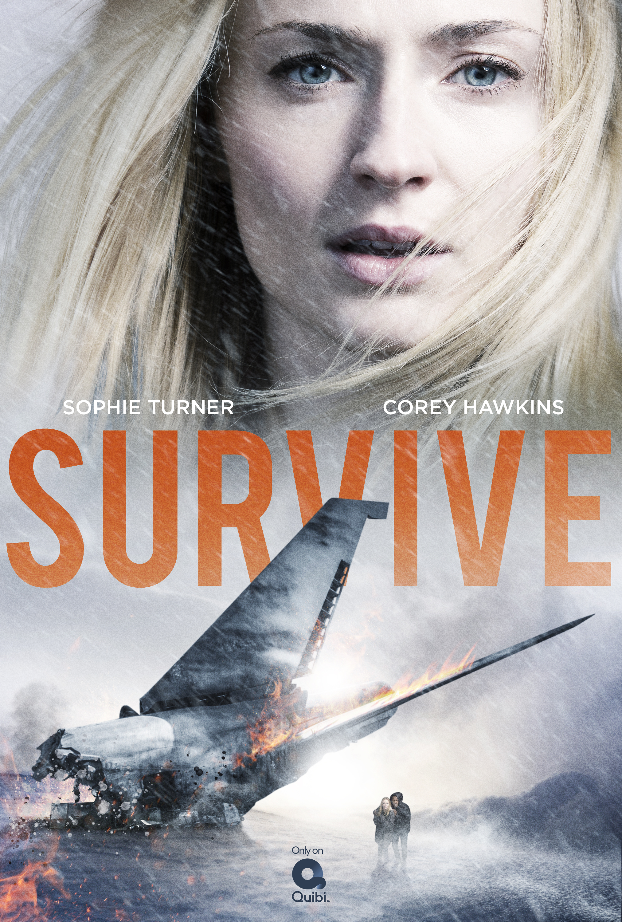 Poster of Survive