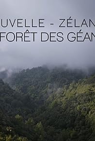 Primary photo for Nouvelle-Zélande - La forêt des géants