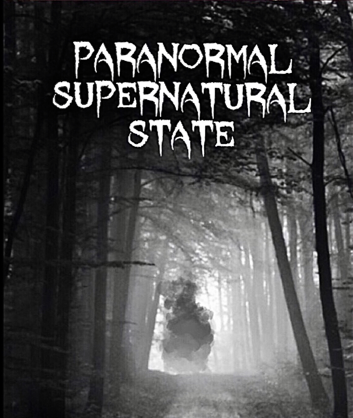 その他 PARANORMAL STATE THE ULTIMATE COLLECTION Paranormal State: The Ultimate Collection (DVD, 2012, 13