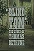 Primary photo for Blind Tom: The Story of Thomas Bethune