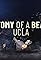 Anatomy of a Beating - The UCLA Palestine Solidarity Encampment's primary photo