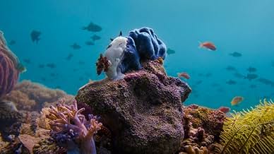 その他 Oceans - World Beneath the Waves Ocean: Dive In and Discover the World Beneath the Waves