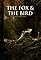 The Fox and the Bird's primary photo