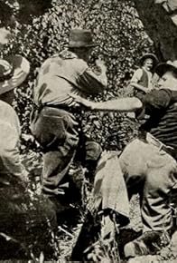 Primary photo for In the Shadow of the Mountains