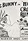 Hot Cross Bunny's primary photo