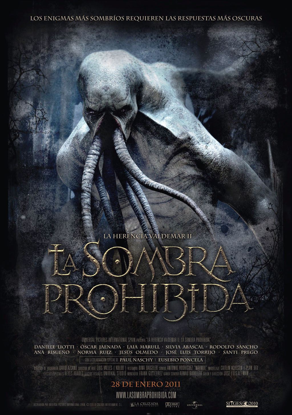 The Valdemar Legacy II: The Forbidden Shadow (2010) - IMDb