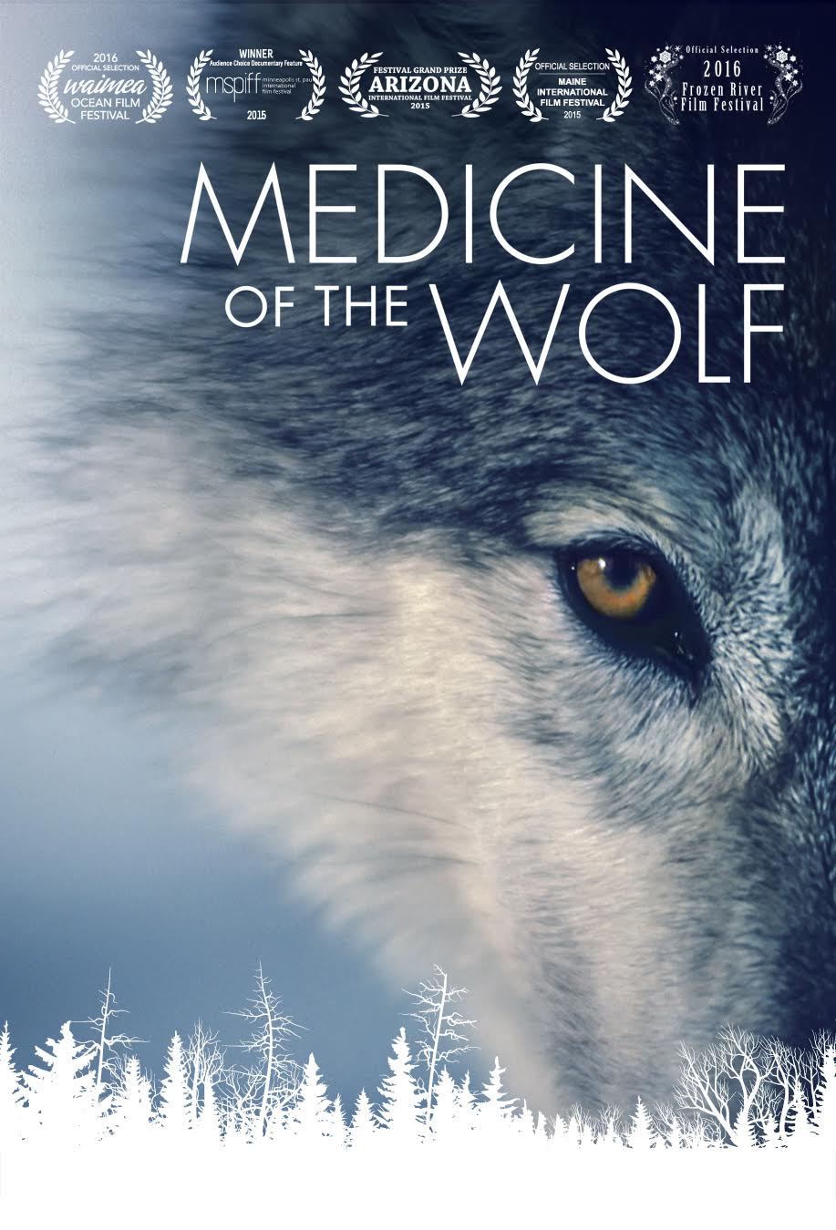 Poster of Medicine of the Wolf