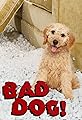 Bad Dog!'s primary photo