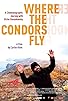Primary photo for Where the Condors Fly