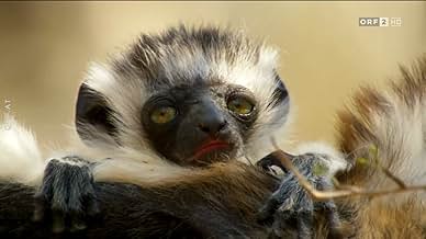 पोस्टर देखें