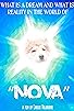 Primary photo for Nova