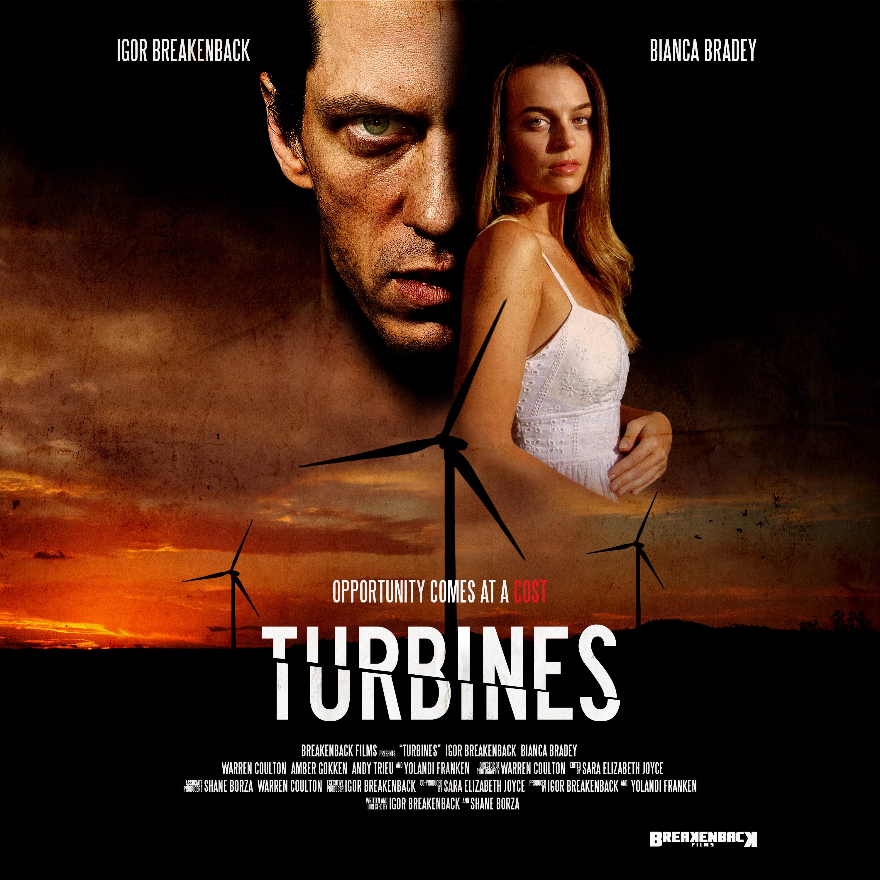 Poster of Turbines
