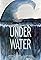 Under Water's primary photo