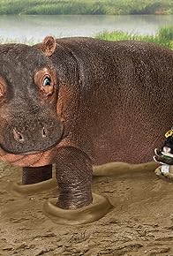 Primary photo for Save the Hedgehog!/Save the Hippo! Primary photo for Save the Hedgehog!/Save the Hippo!