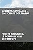Primary photo for Europas Urwälder: Ein Schatz der Natur Primary photo for Europas Urwälder: Ein Schatz der Natur