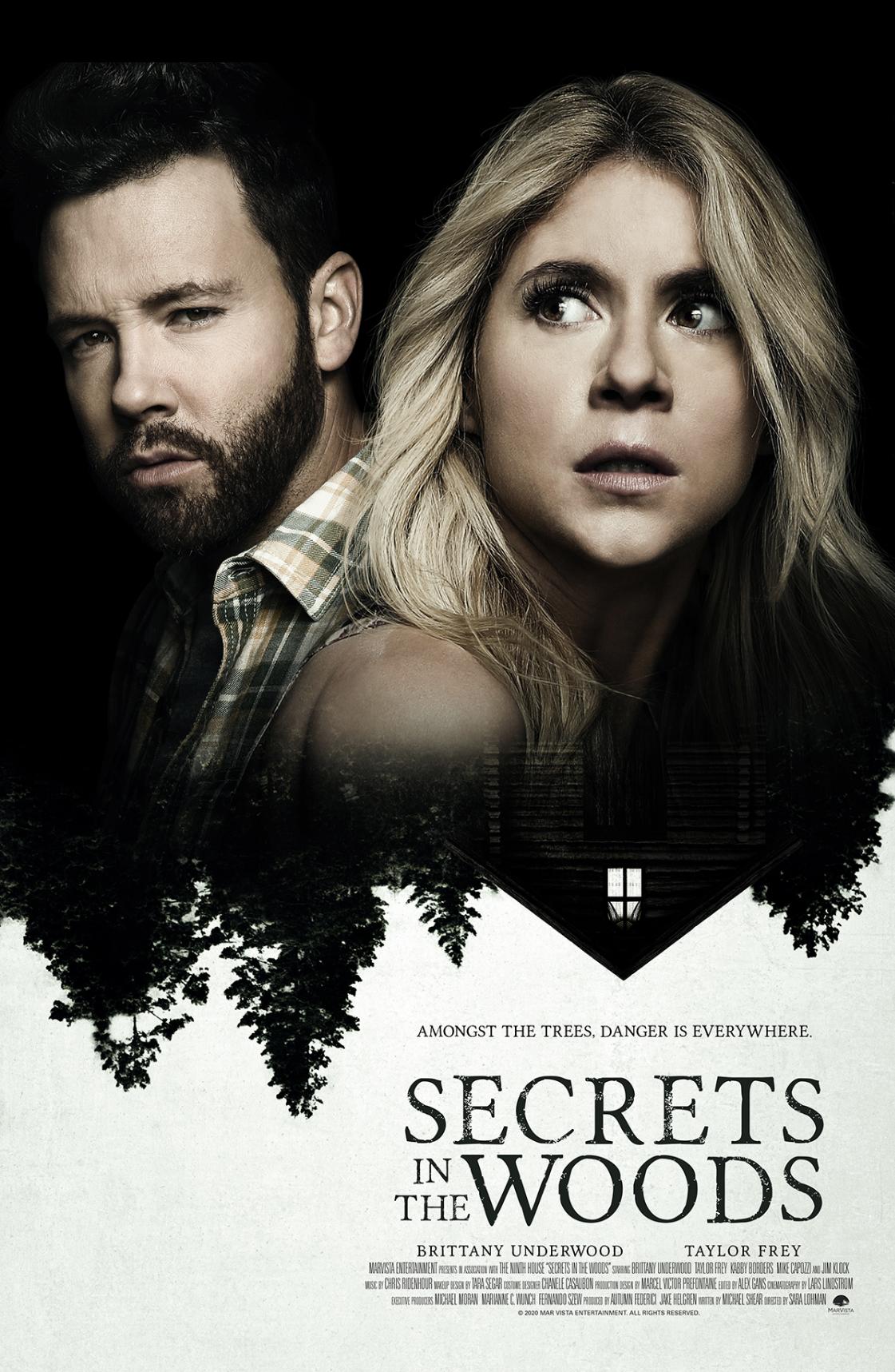 Poster of Secrets in the Woods